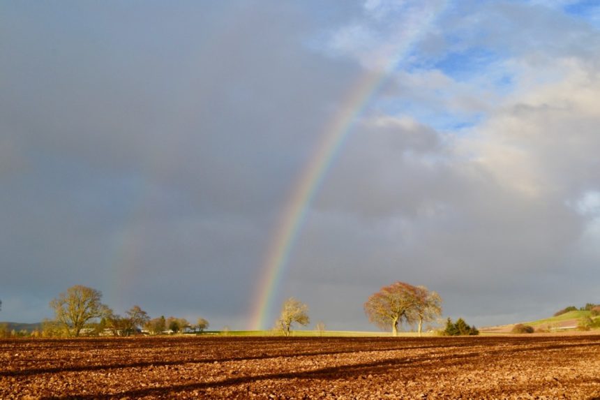 What is Bioregioning? - Bioregioning Tayside